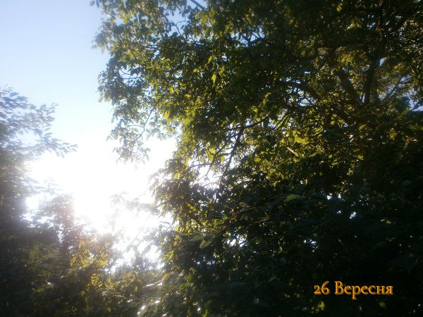 26 Вересня