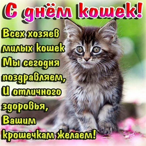 Изображение viber 2024-08-08 08-56-15-729