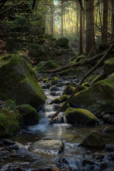 ПРИРОДА ЕВРОПЫ