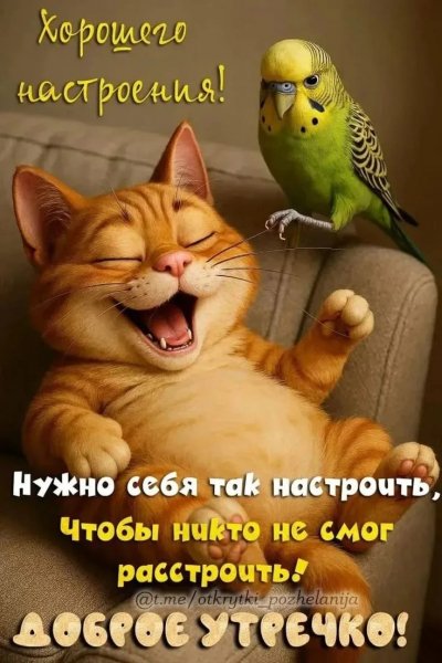 IMG 20260226 132339 996