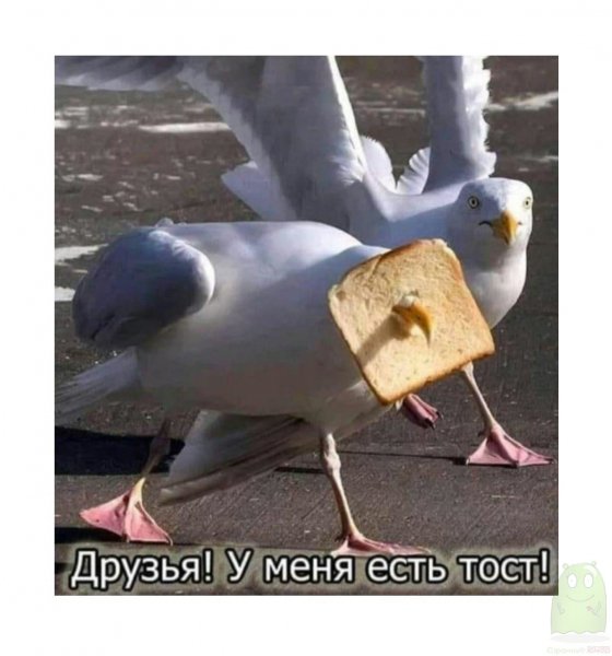 IMG 20230326 143946