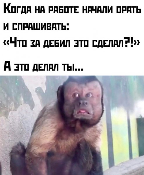 Samye-smeshnye-memy-iz-interneta-prikoly-v-kartinkah-19