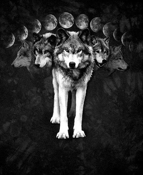 Volk