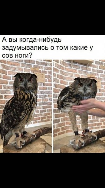 IMG 20190223 112803 648