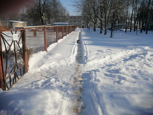Зима