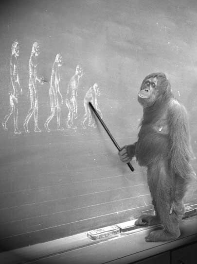 Dd675d9d9f3efcb35f264b19b9290eed (1)