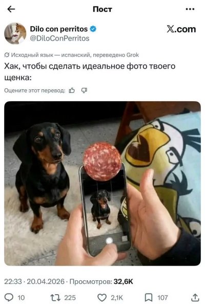 p.1200.1200.0