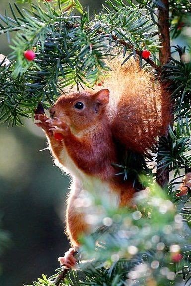 IMG 20171108 225424 2