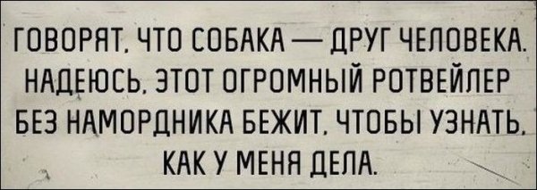 a92852a19bbe042df6c1953e9156