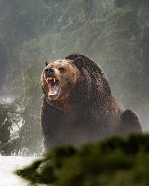 55d898a92e55ade9cf239f30bfe6cc28