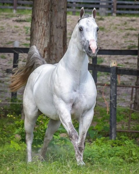 8bba44cab8125f16e19381eb4d5b96e3