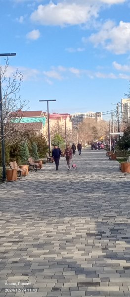 Анапа. Ореховая роща