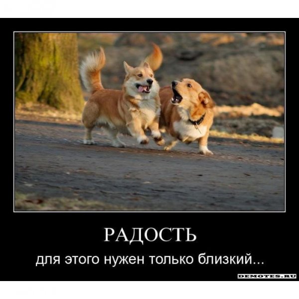 pics