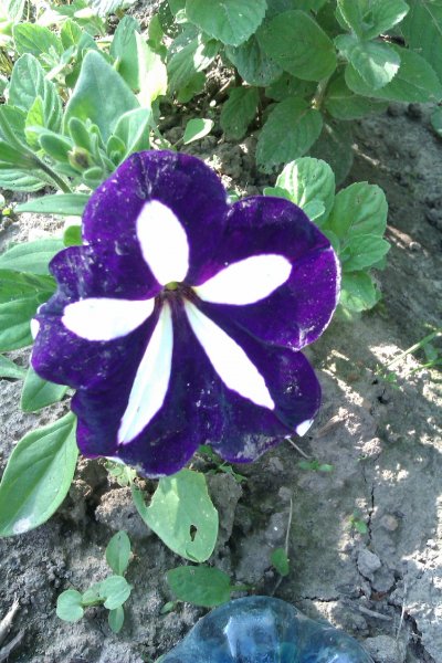 IMAG0342