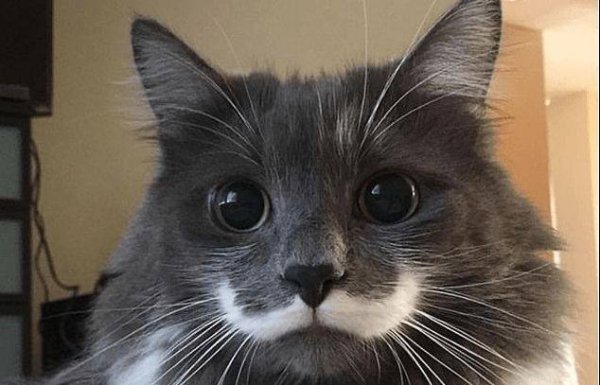 IMG 20241226 094032 401