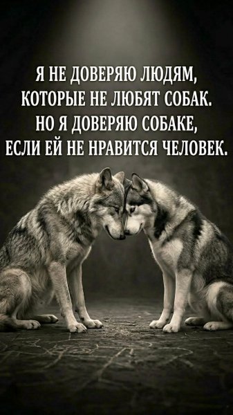 picture_411859443
