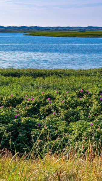 Screenshot 20251201-022036 One UI Home