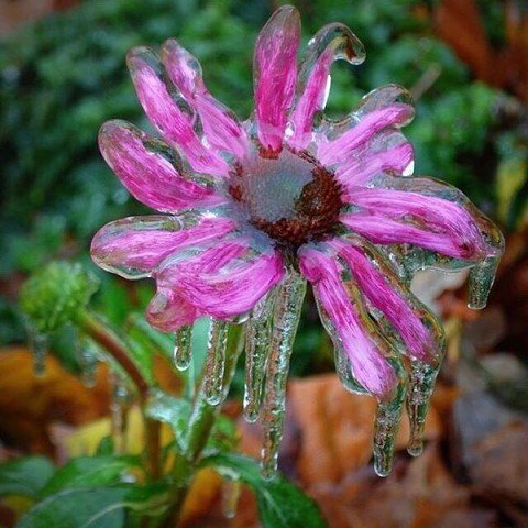 IMG 20151202 112116 9