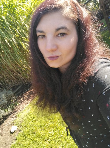 picture_370896013