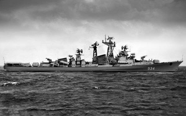 БПК "Сдержанный" (1973г)