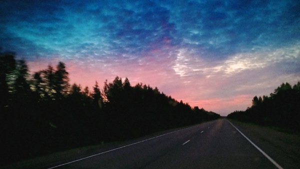 picture_355215939