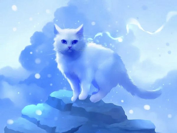 blue cat