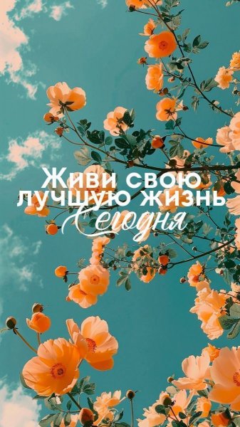 Жизнь