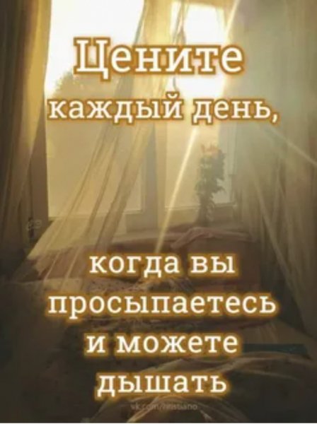 Верные слова!