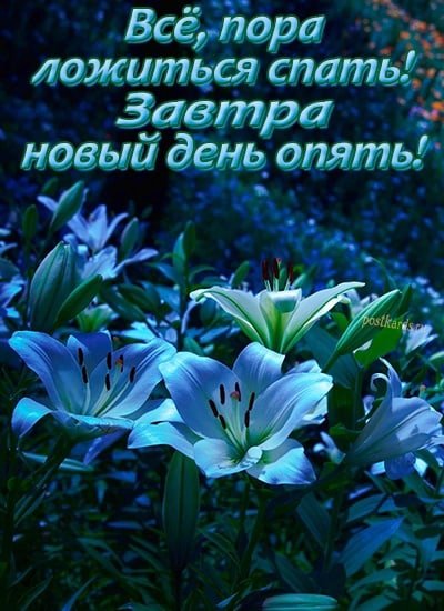 Пока! До завтра!