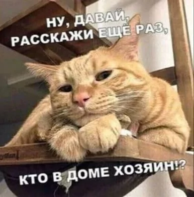 NZewfy4Q