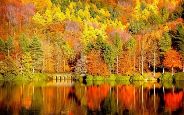 золотая осень