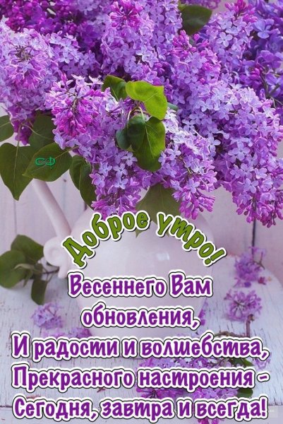 70cbb1b8b53592464565630bd0cff44a