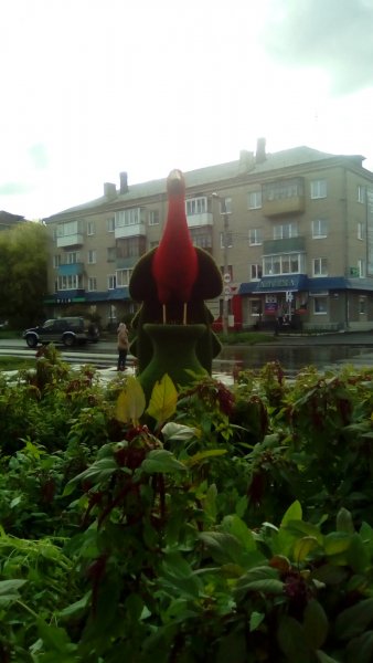 Добро пожаловать в Зауралье