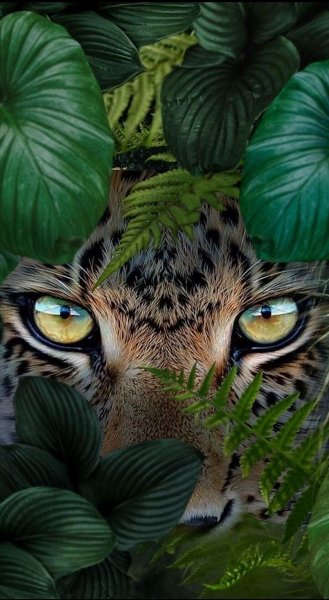 Животный Мир