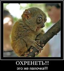 04-08-10-00-23-371858195