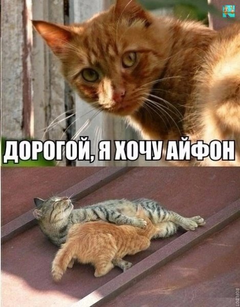 MUZyGnmAhKU