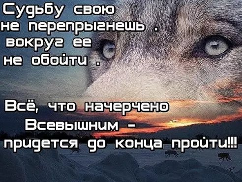 image(644)
