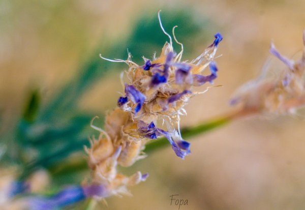 66a78d037f8a7 IMG 8216 edited