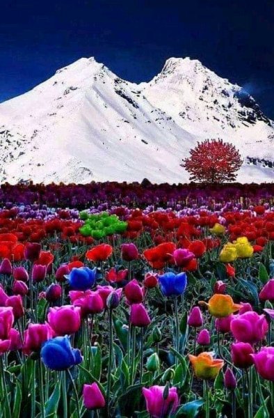 FB IMG 15624910004207678