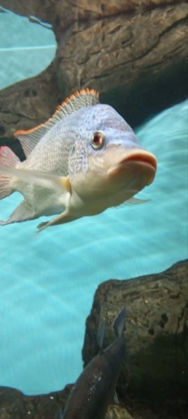 IMG 20230720 155728 874