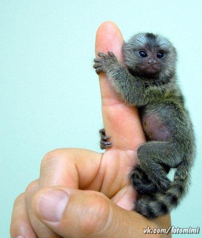 7e220e834bfcdc1dd84987640cadaa6a