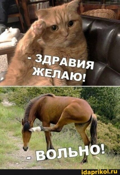f49fce8450b261b2099db6cfac78d33f1fa20d171decbbb799519ff1e6535
