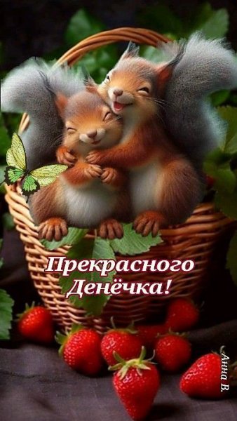 4addbf7a6c663f7cef2bf7735b5715d1