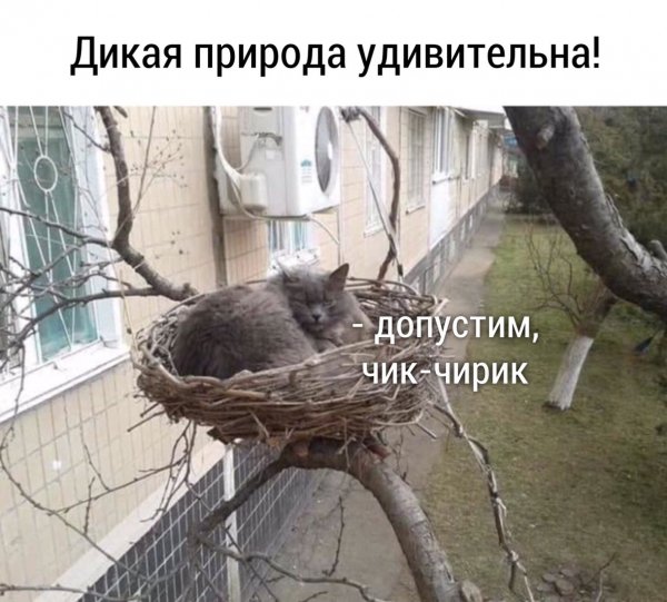 PHhJXFIBZ90