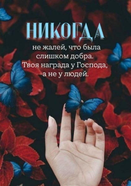 ZXKwHQV 7xNyL6Y ivP88SeO KuJe7qELwpZm59PMqpzF-ML6OtghAY3g9Bx