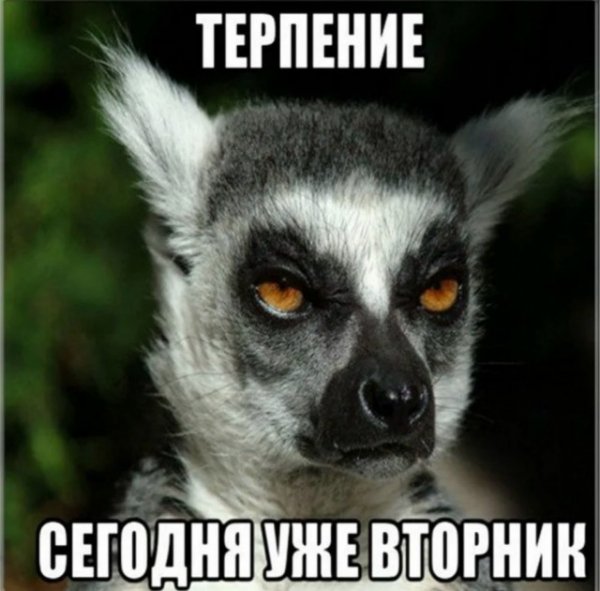 D2ba2d776f 20455894