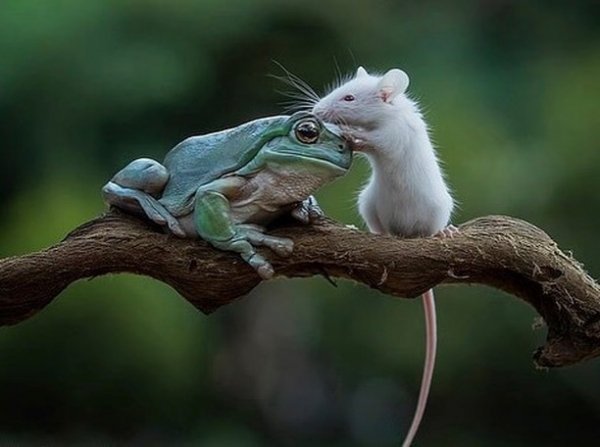 23-57-42-119887838 1666141483568823 576860405053142529 n