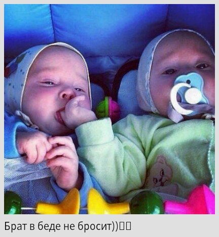 Близнецы-братья