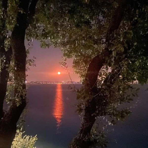 10-04-38-205008626 775545203125142 3752335100915326924 n