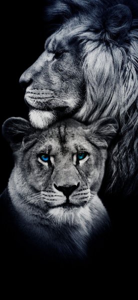 a6020a9dd6b94c02aff96e5ea1ddc4ff